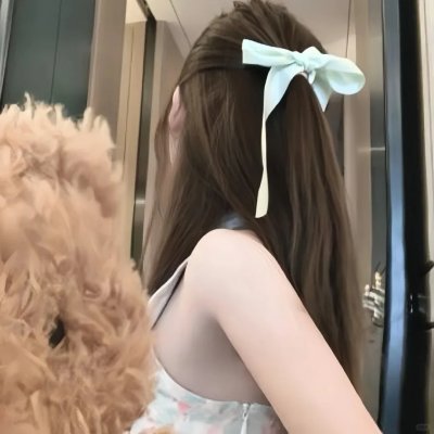 托梅斯的导盲犬