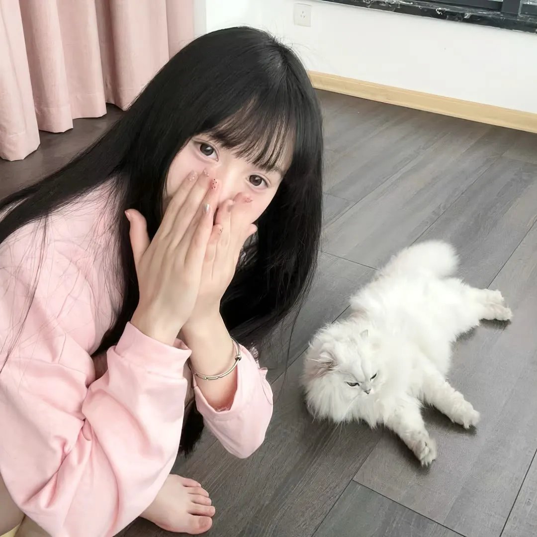 与鲨同泳